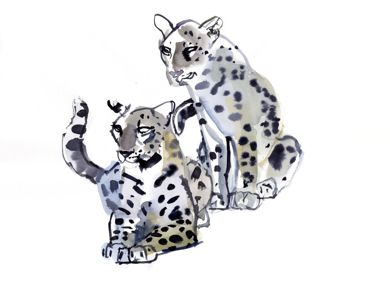 Madre e hijo (leopardos árabes), 2008 de Mark Adlington