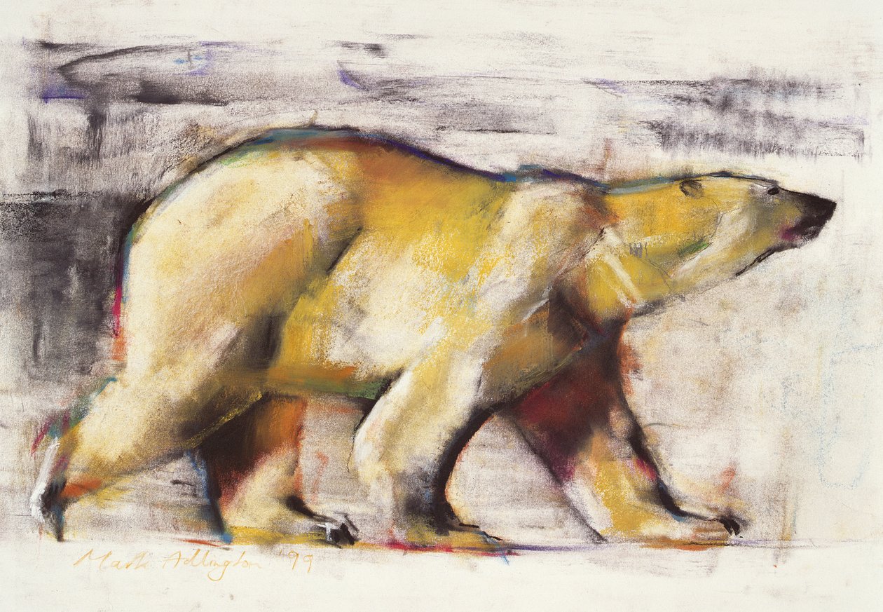 Oso polar de Mark Adlington