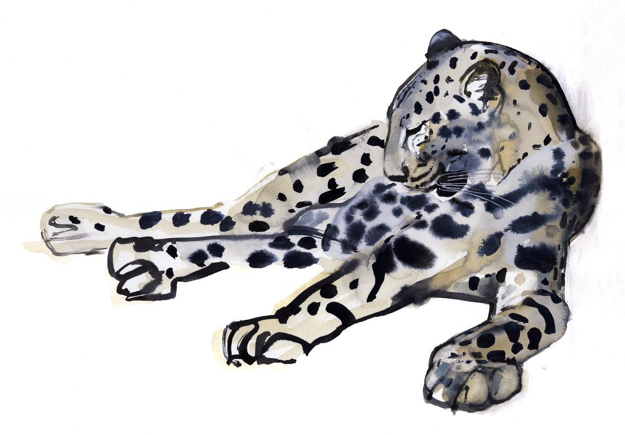 Reclinada (Leopardo Árabe) de Mark Adlington