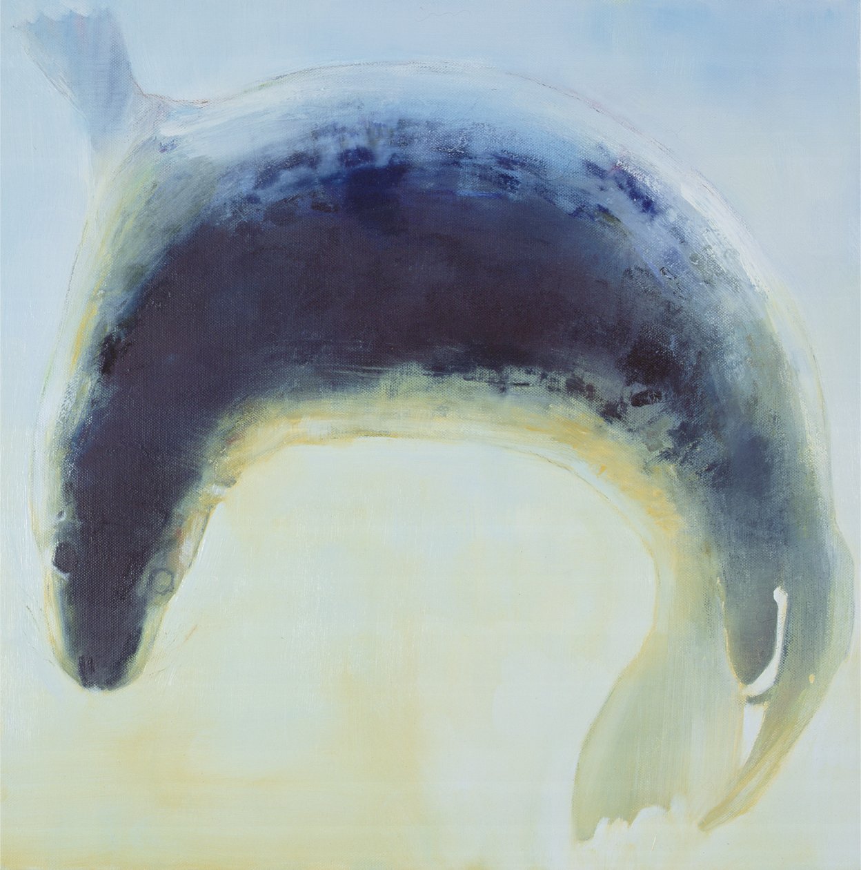 Círculo de focas, 2003 de Mark Adlington