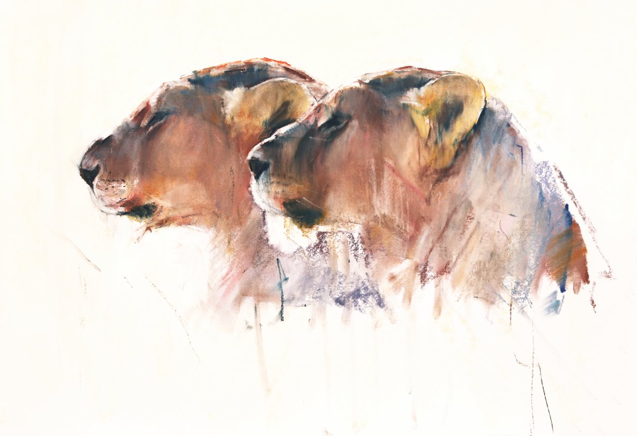 Hermanas, Etosha de Mark Adlington