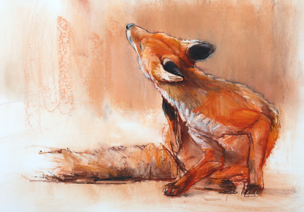 Spring Vixen, 2022 de Mark Adlington