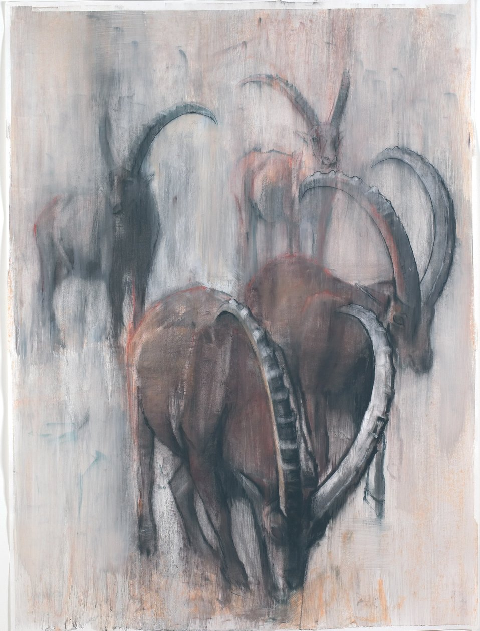 Stambecchi en verano de Mark Adlington