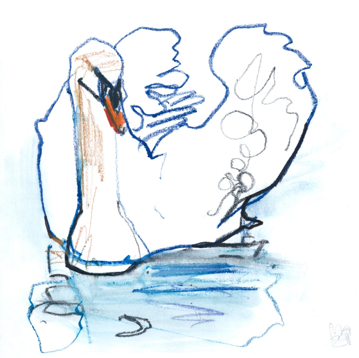 Lago de los Cisnes de Mark Adlington