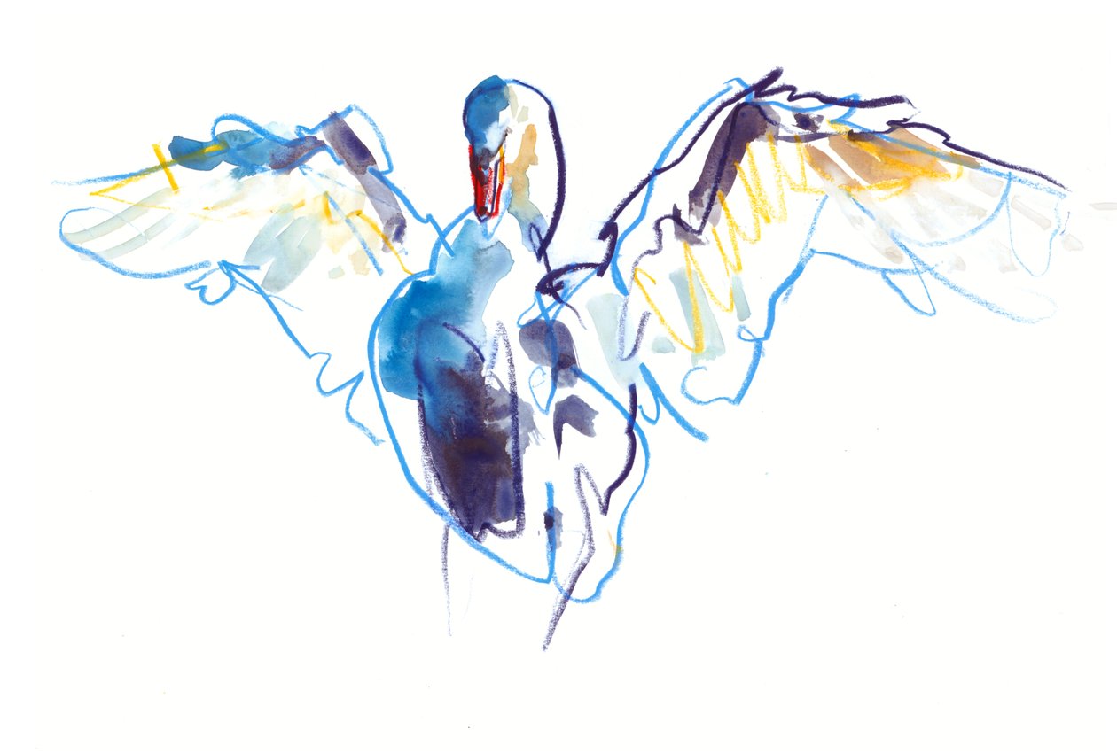 El Cisne, 2022 de Mark Adlington