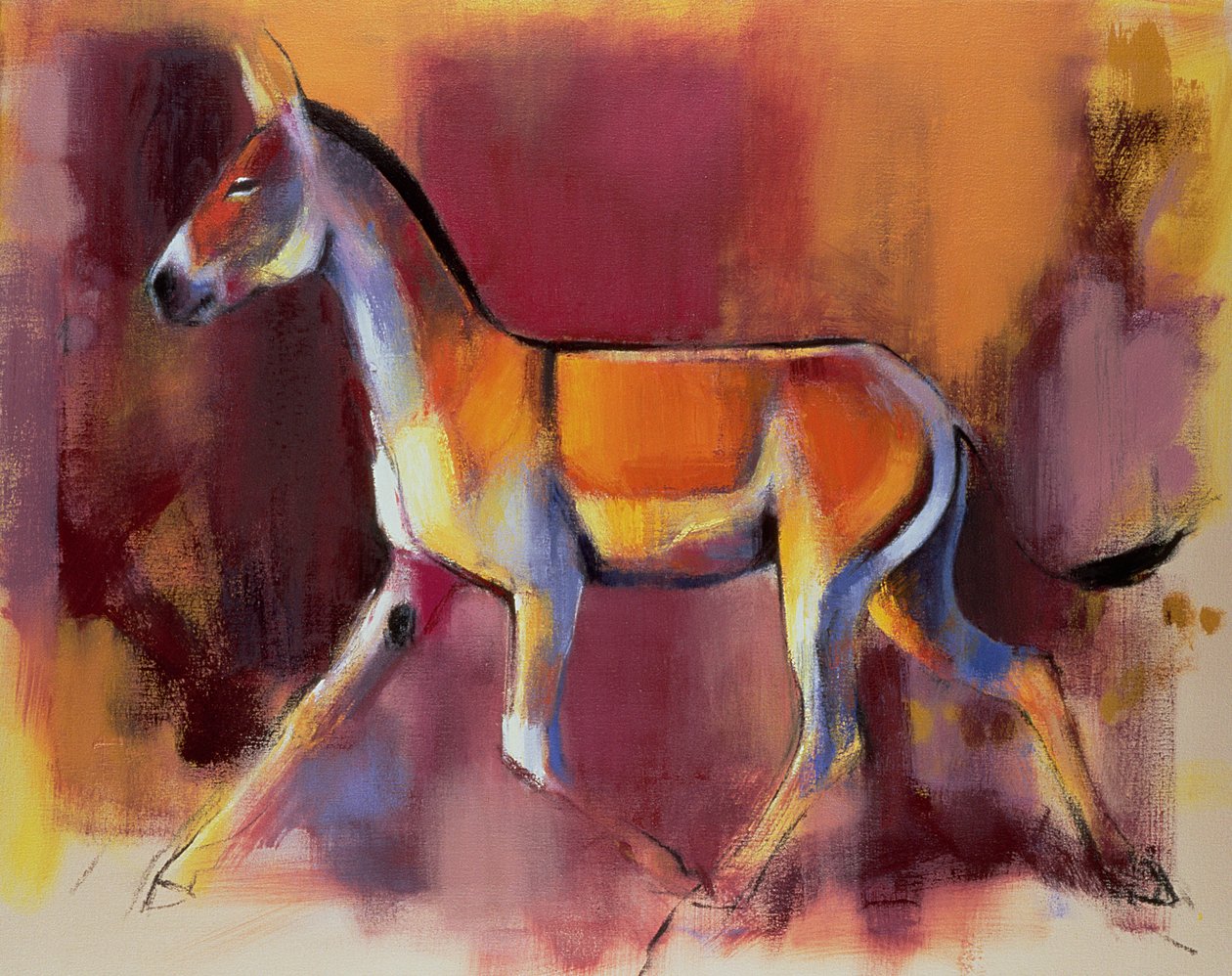 Asno salvaje, Rann de Kutch, 1996 de Mark Adlington