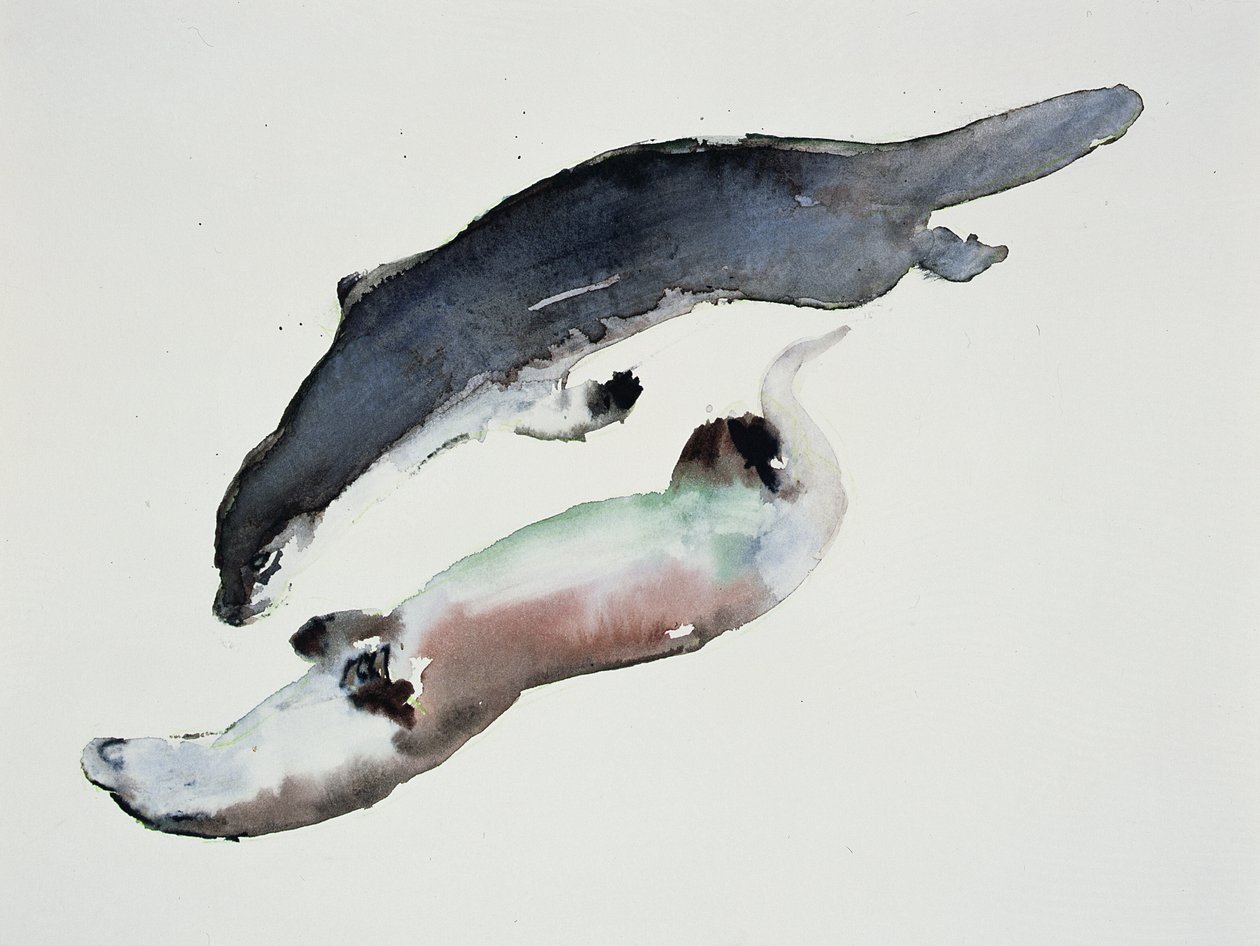 Yin Yang de Mark Adlington