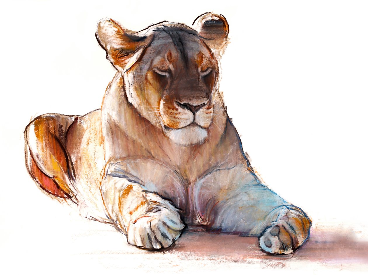 Leona yogui de Mark Adlington