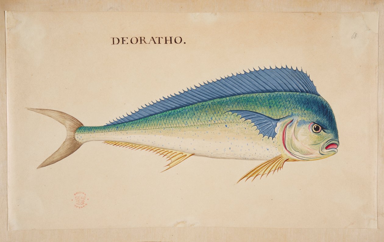 Deorato