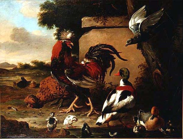Gallo con patos, patitos y paloma de Marmaduke Craddock