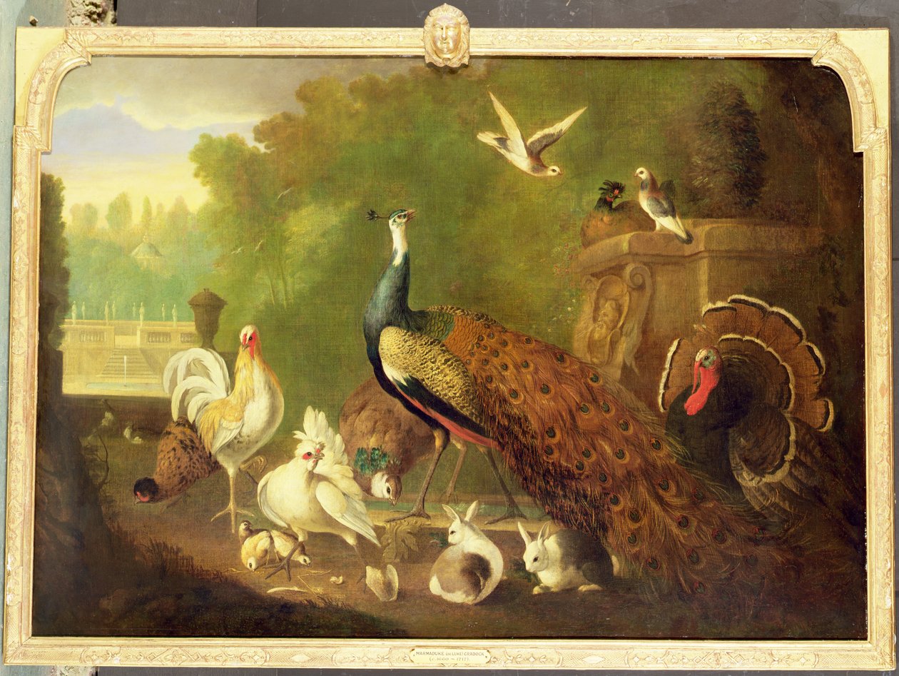 Imagen Desconocida de Marmaduke Craddock