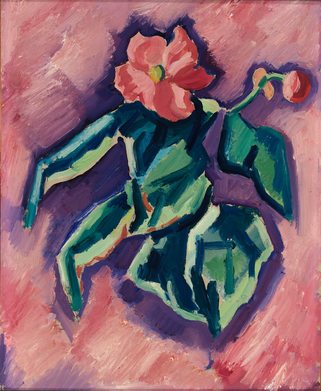 Begonias Rosas, 1928-1929 de Marsden Hartley