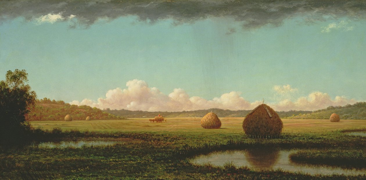 Lluvias de verano de Martin Johnson Heade
