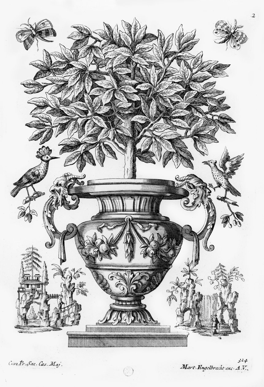 Árboles cítricos de Martin Engelbrecht