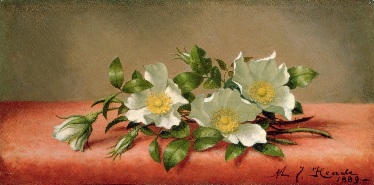 Rosas Cherokee, 1889 de Martin Johnson Heade