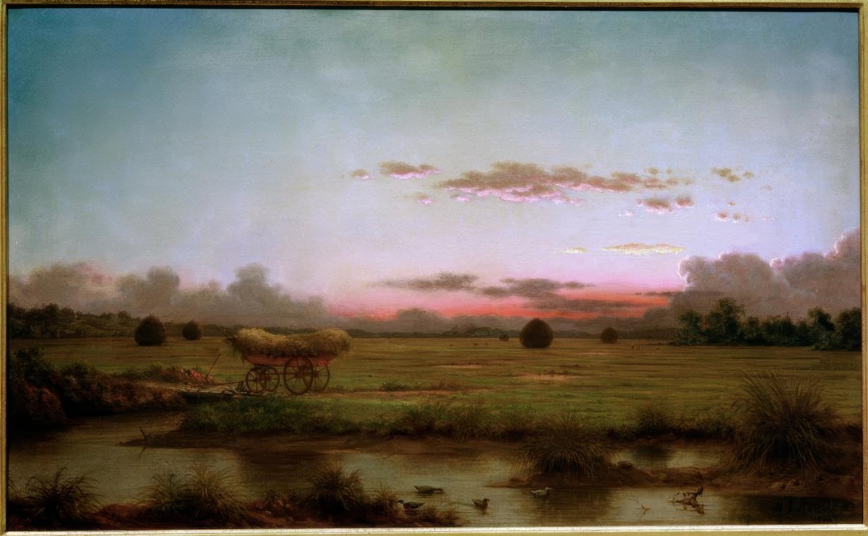 Los pantanos de Rhode Island de Martin Johnson Heade