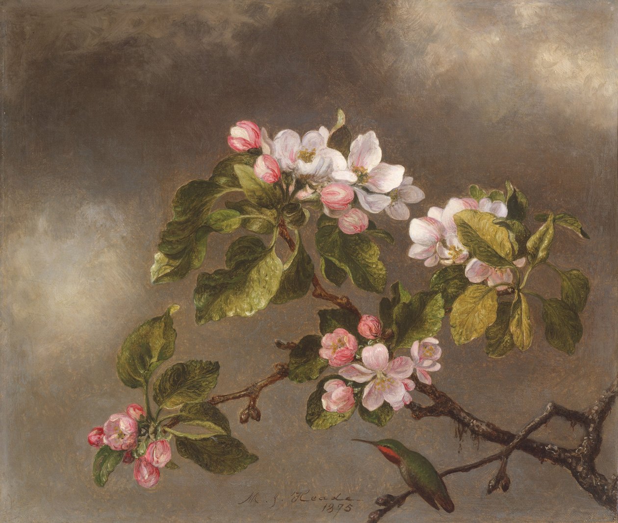Colibrí y flores de manzano de Martin Johnson Heade