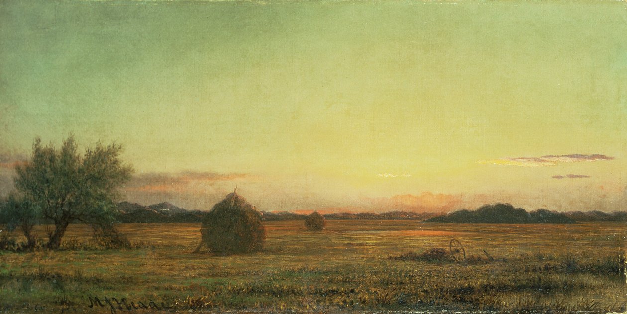 Praderas de Jersey de Martin Johnson Heade