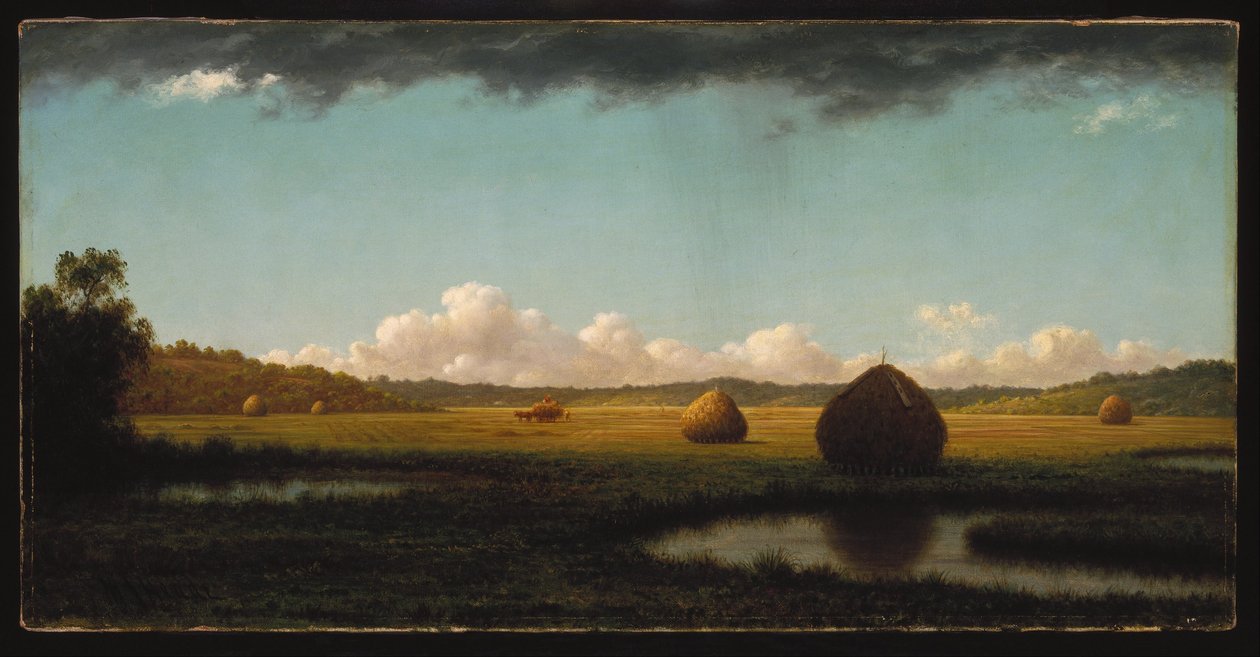 Lluvias de verano de Martin Johnson Heade