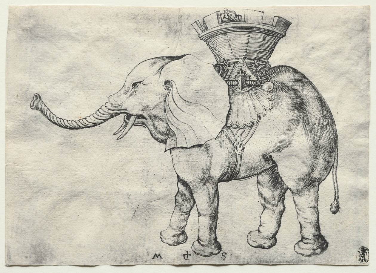 Un elefante con howdah de Martin Schongauer