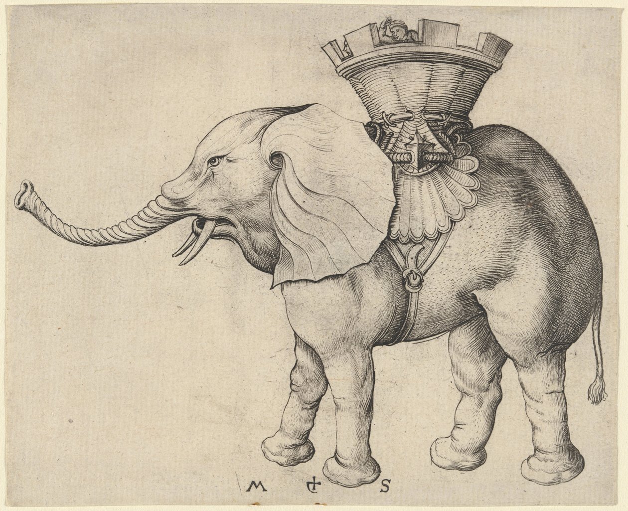 Elefante de Martin Schongauer