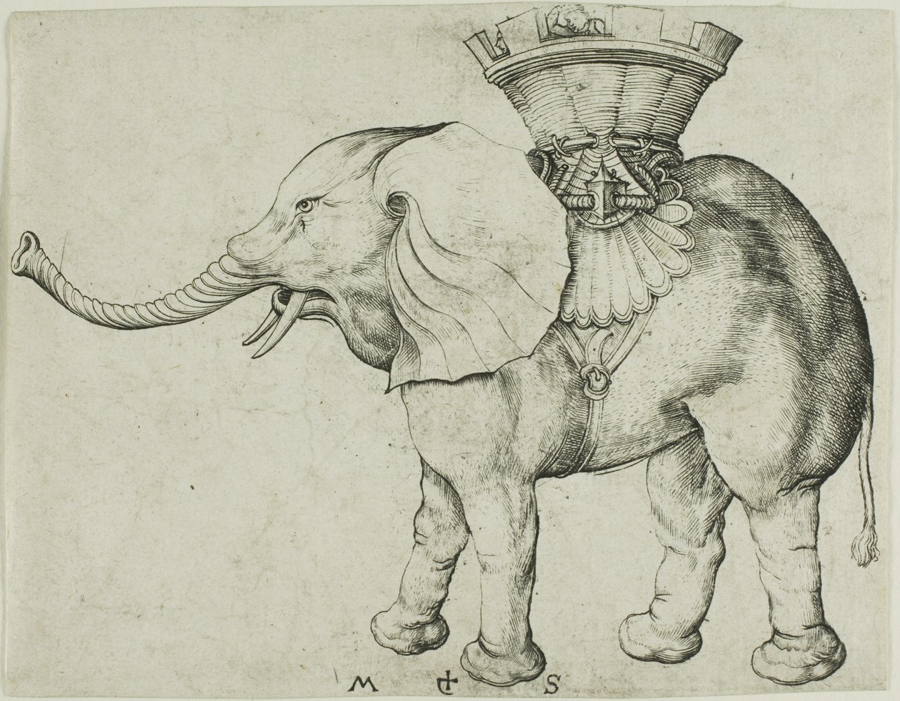 El elefante de Martin Schongauer
