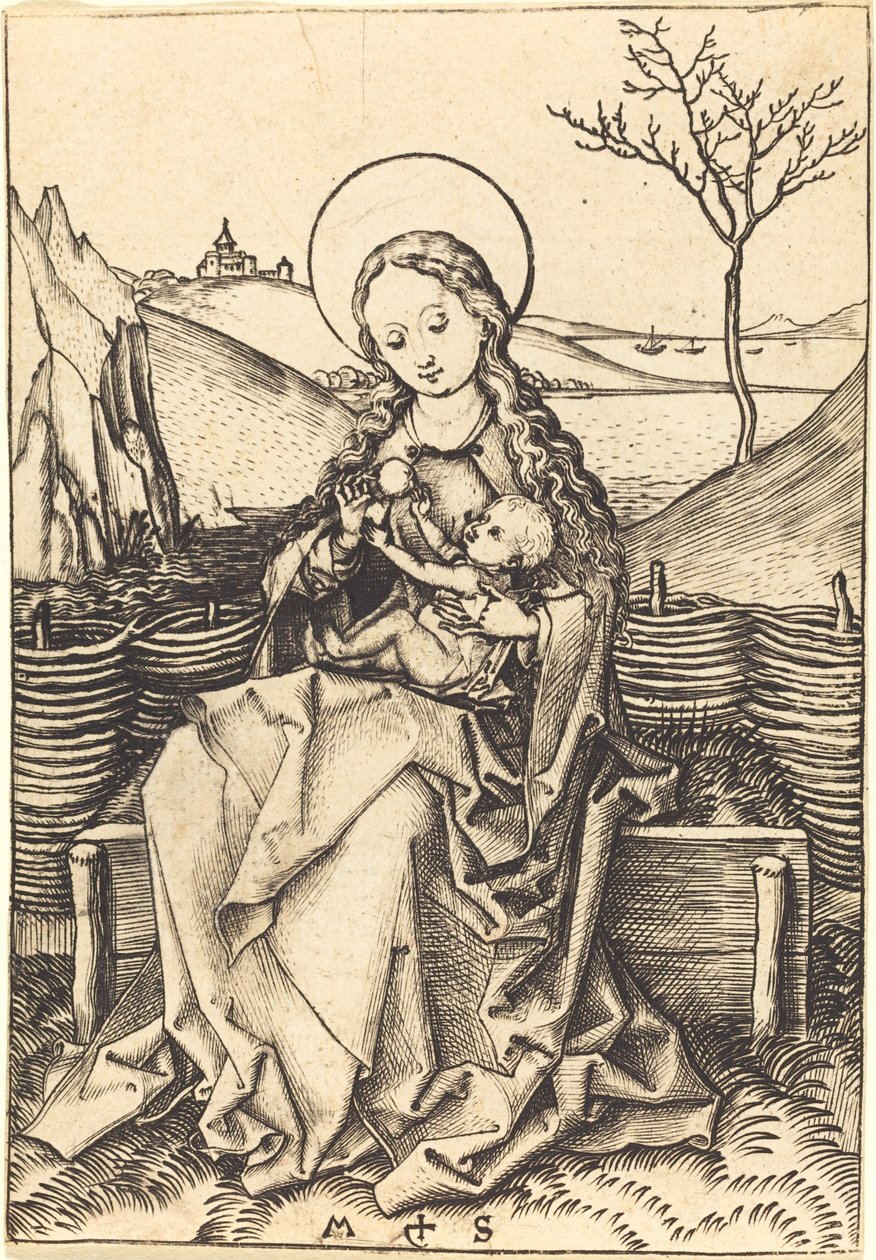 Virgen y Niño en un Banco de Hierba de Martin Schongauer