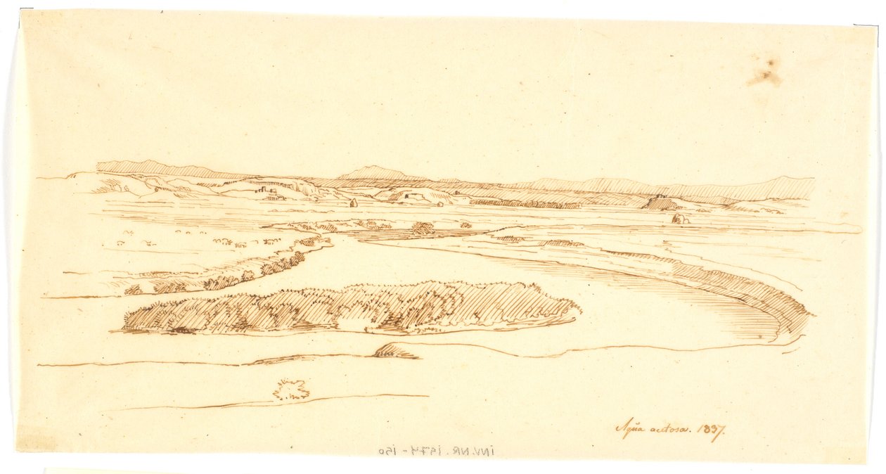 Aqua acetosa de Martinus Rørbye