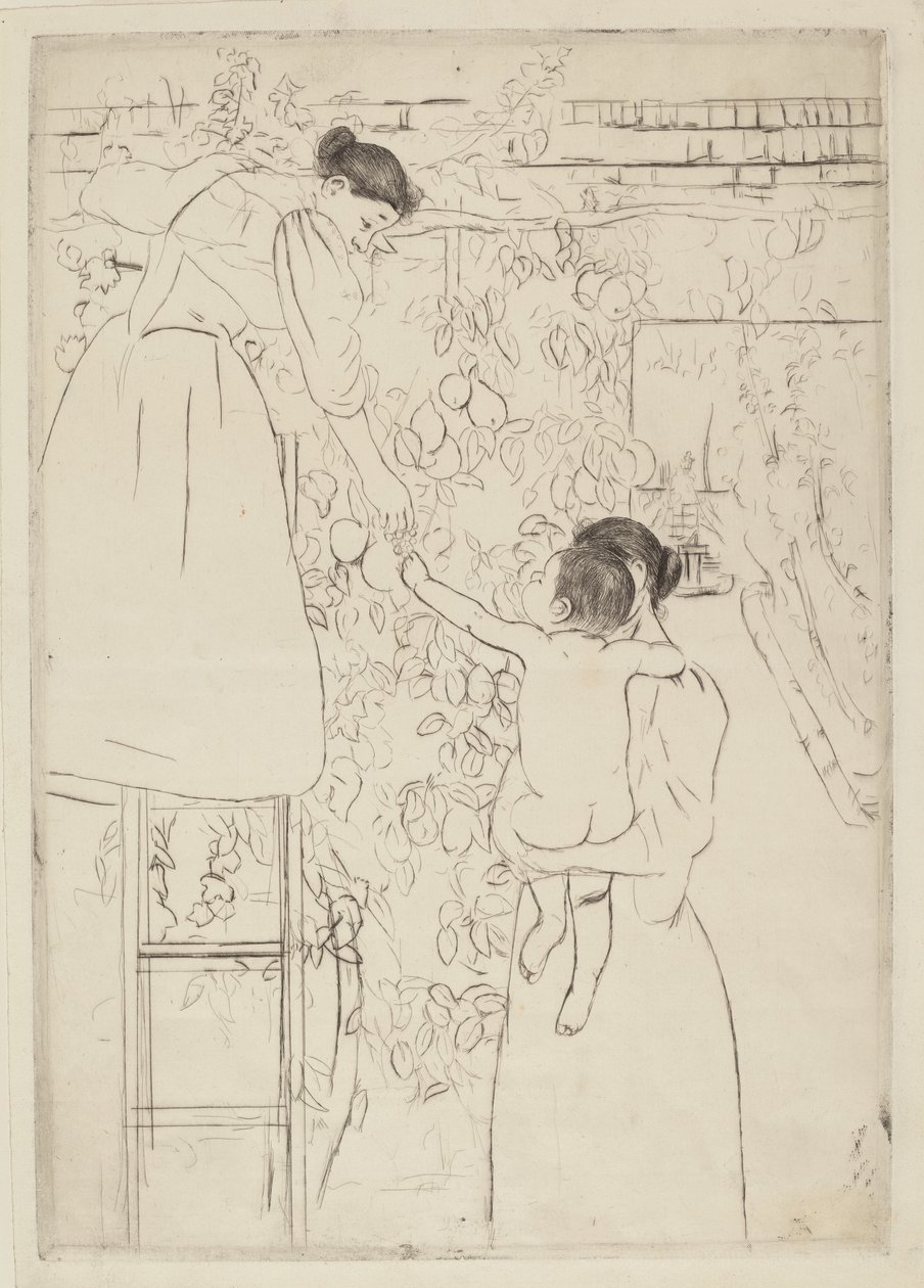 Recolectando fruta, c. 1893 de Mary Cassatt
