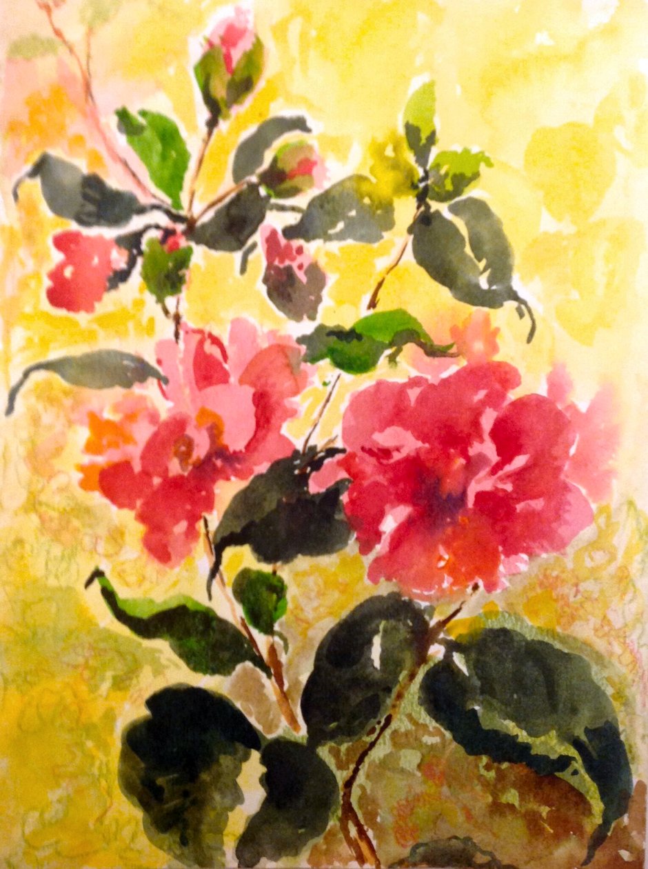 camelias de Mary Smith