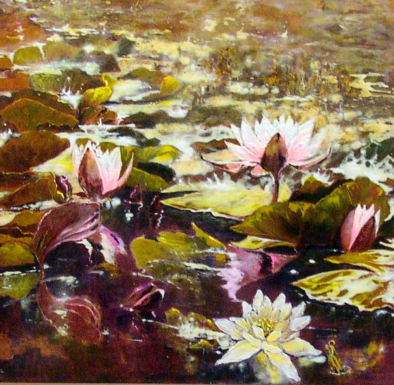 Lirios en los jardines de Melbourne de Mary Smith