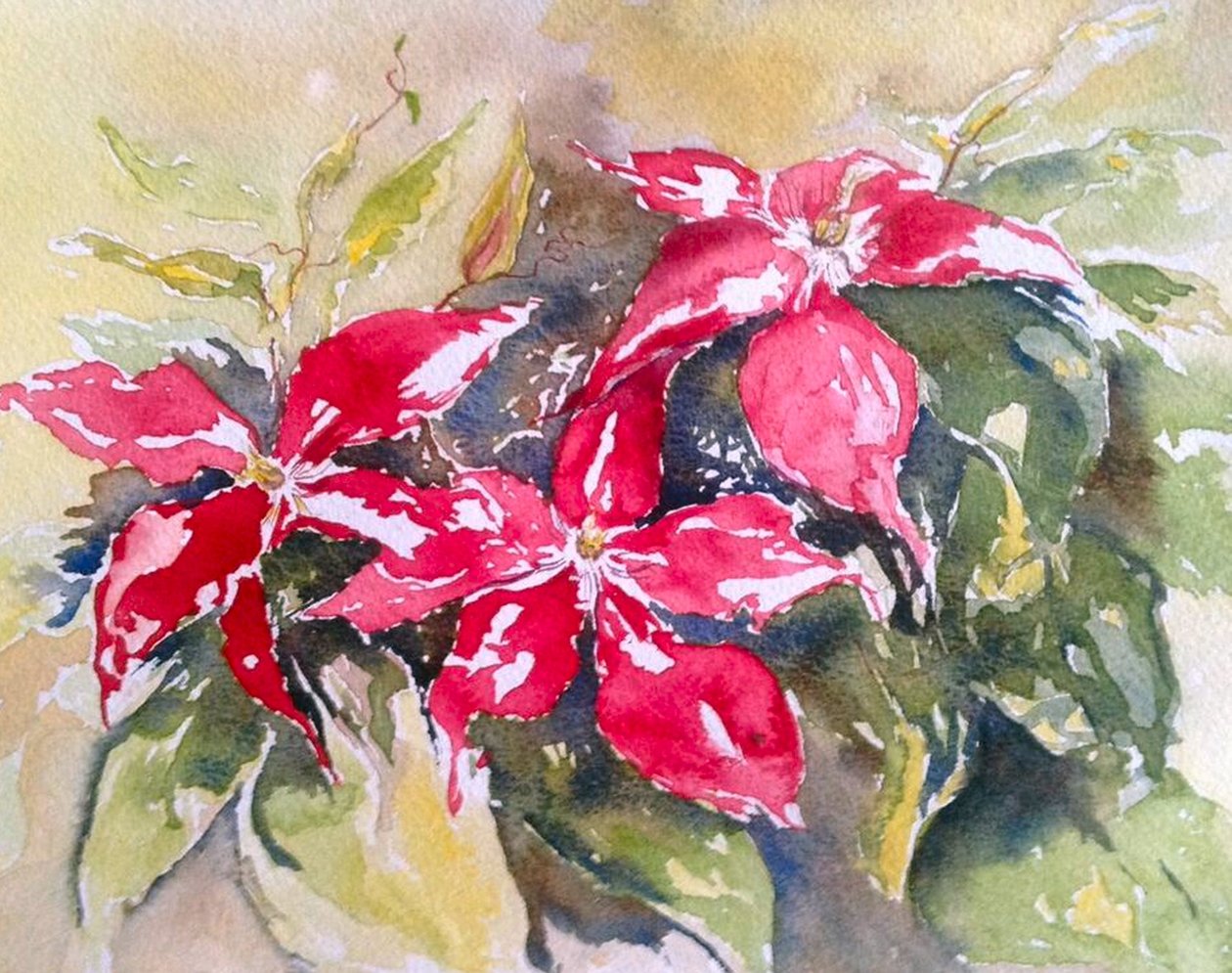 clemátide burdeos de Mary Smith