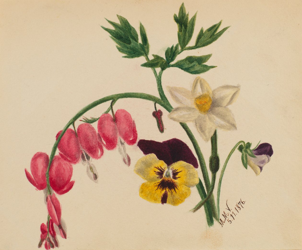 (Sin título - Flores mixtas) de Mary Vaux Walcott