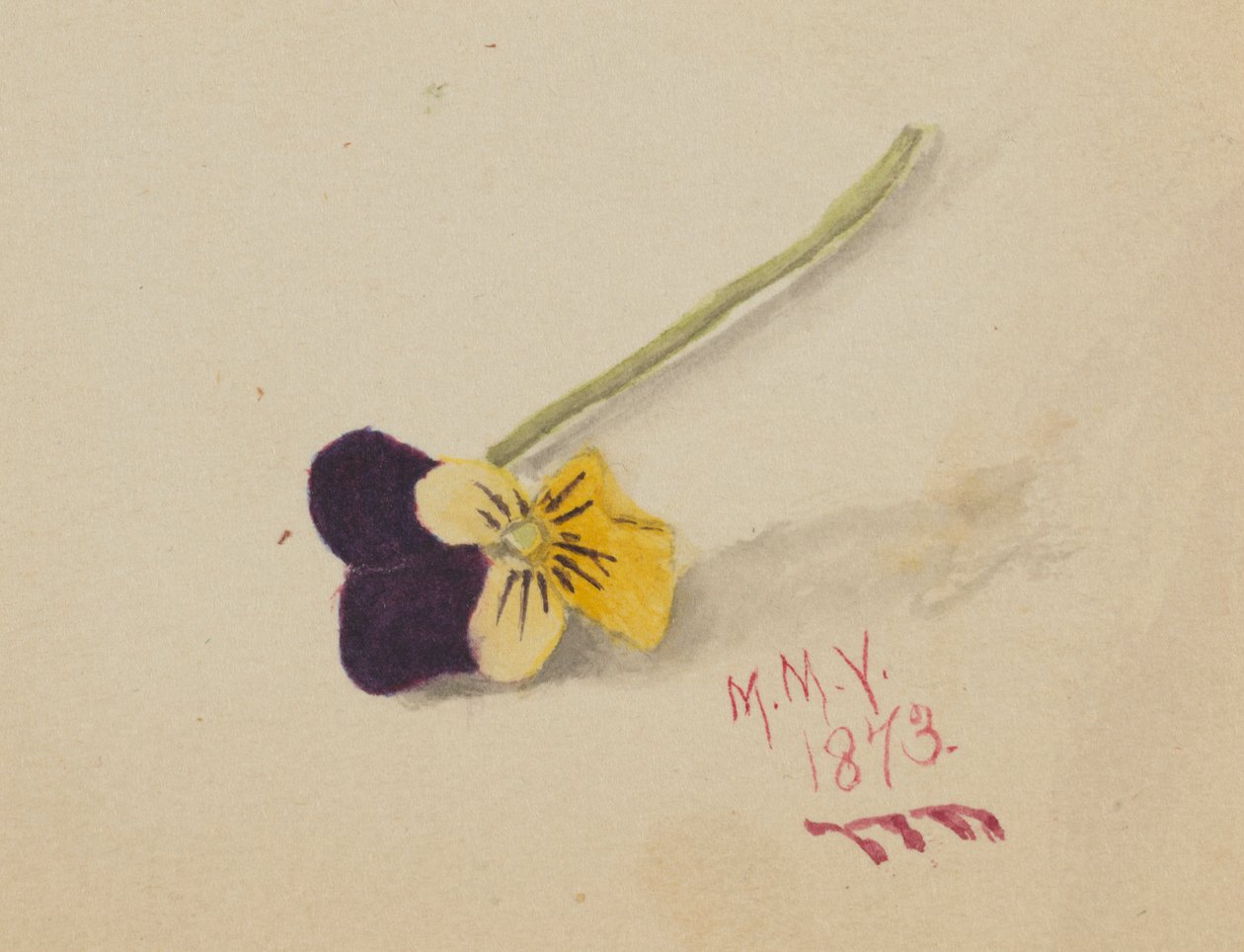 Sin título (Pensamiento) de Mary Vaux Walcott