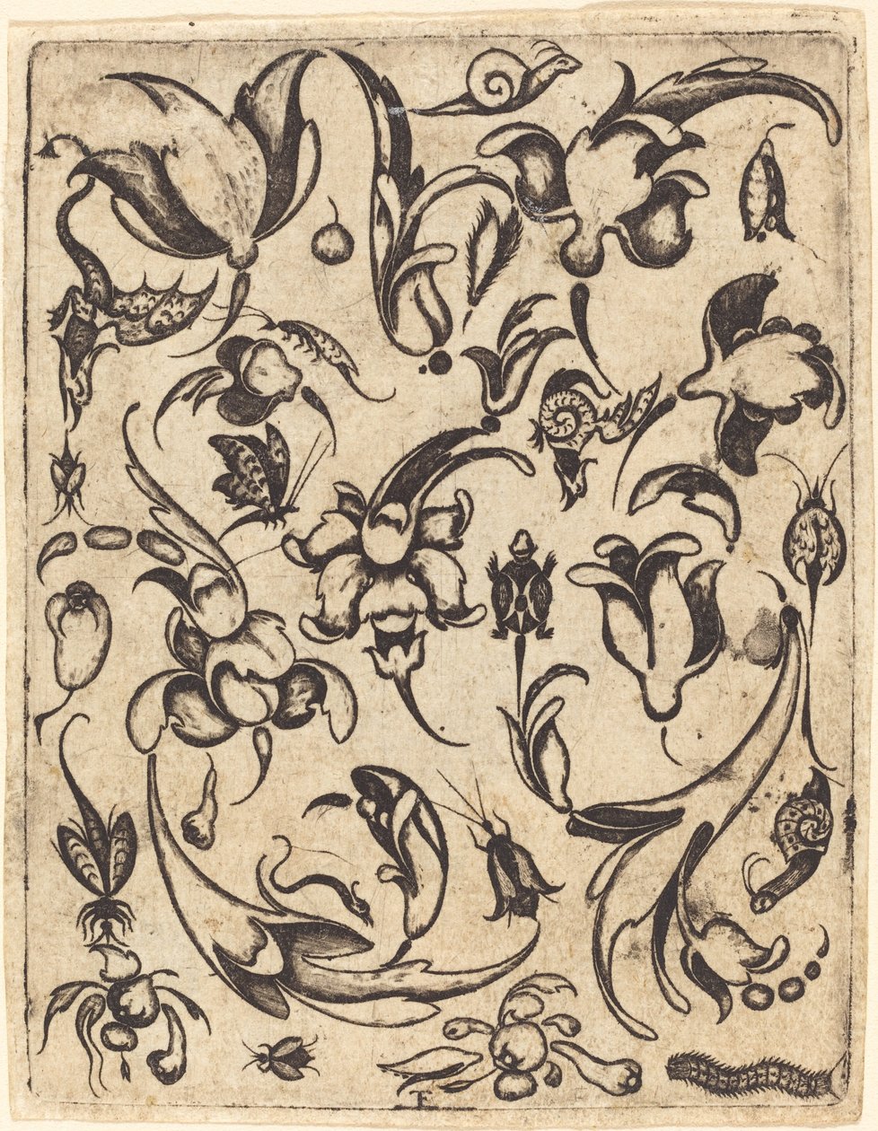Ornamento de Master T.F.