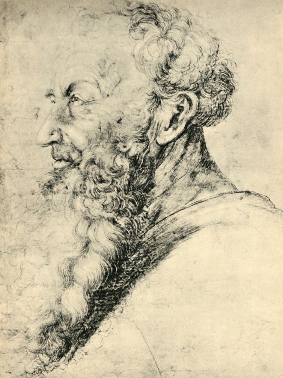 Retrato de Guido Guersi de Matthias Gruenewald