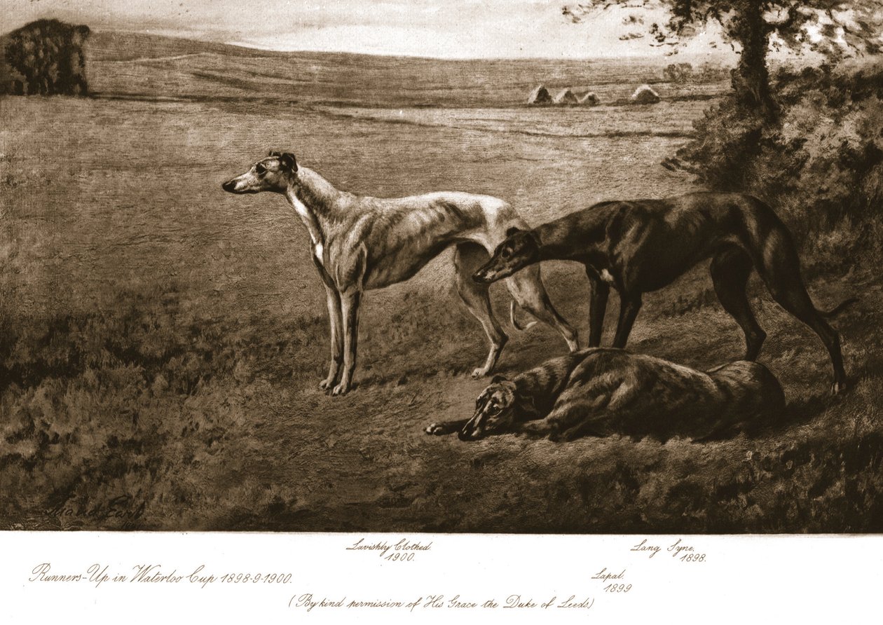 Los Sabuesos del Duque de Leeds de Maud Earl