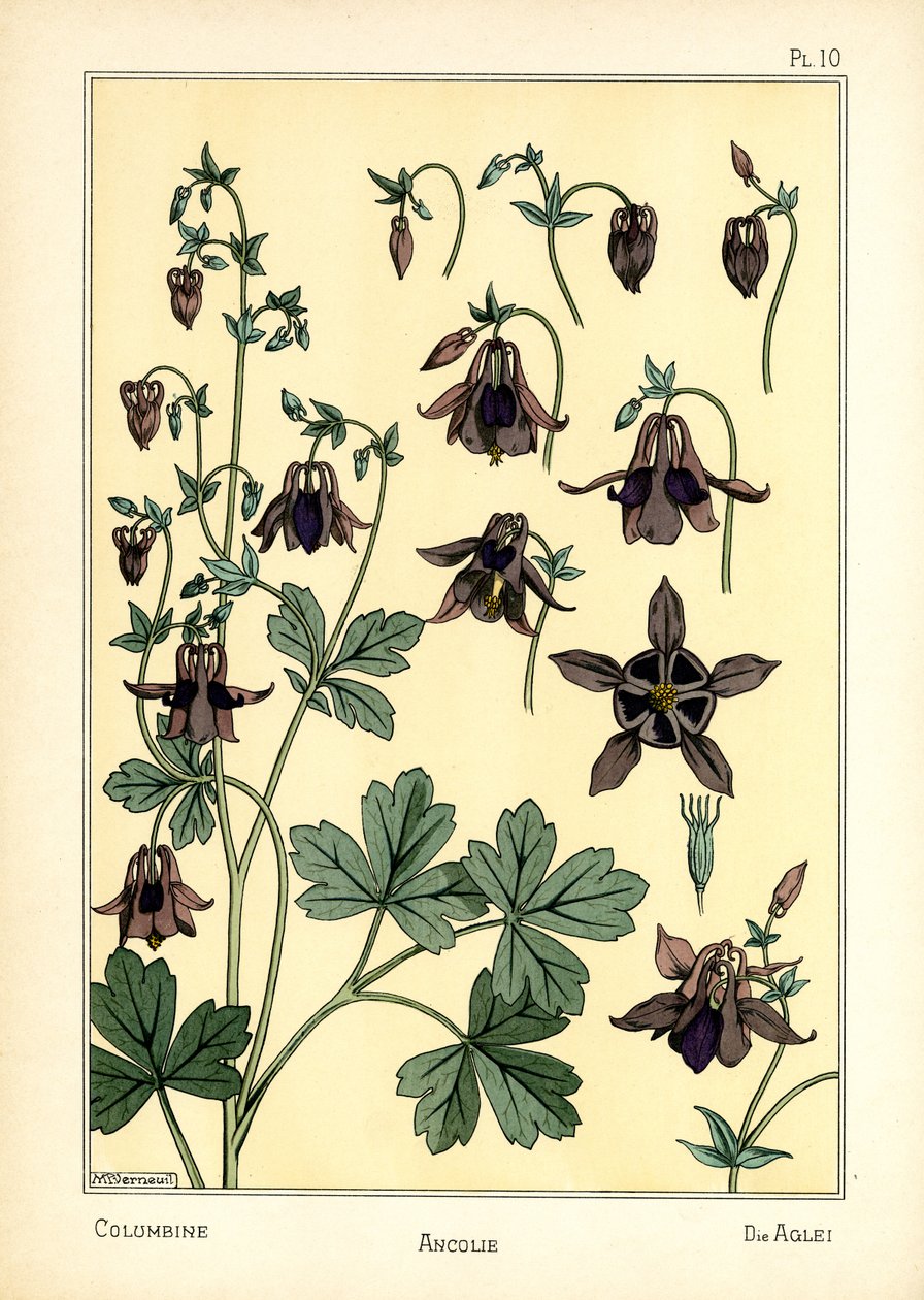 The Columbine (litografía en color) de Maurice Pillard Verneuil