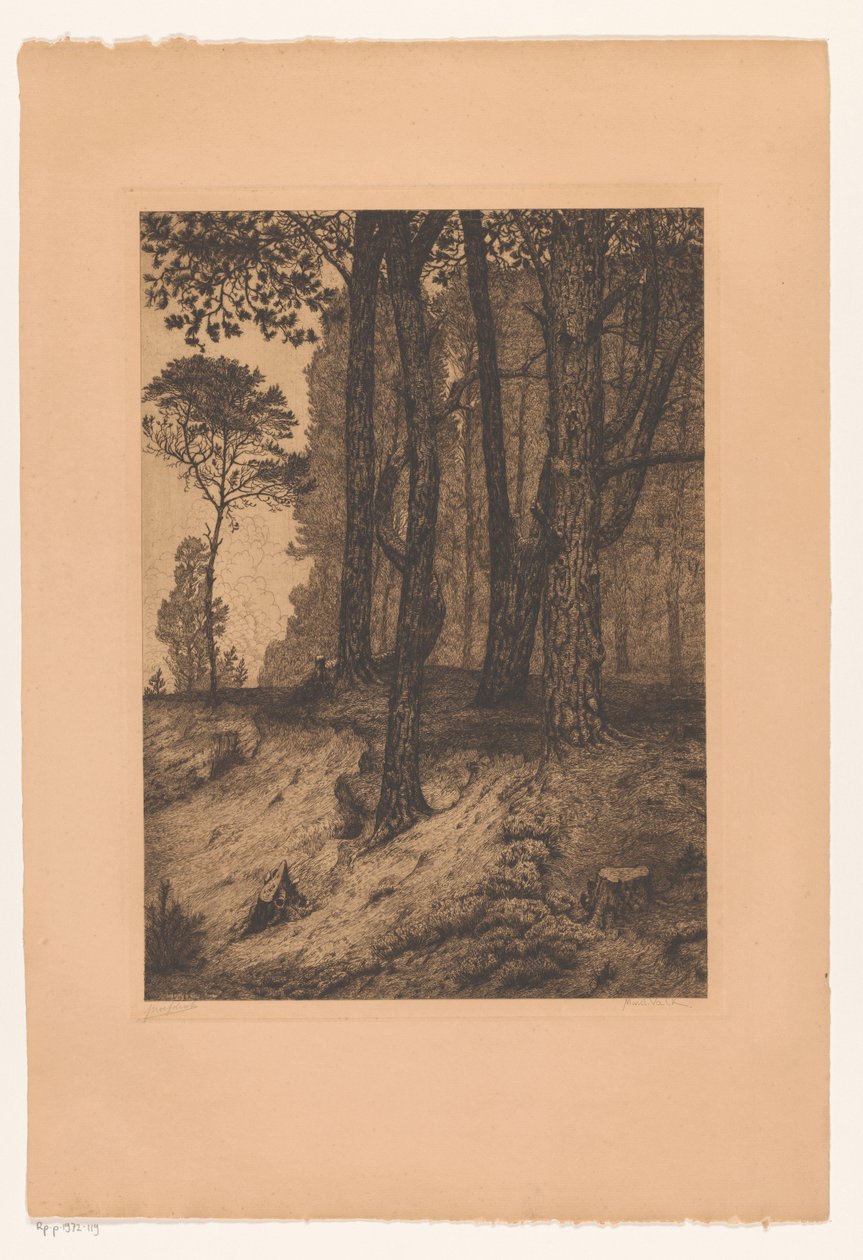 Bosrand de Maurits van der Valk (signed by artist)