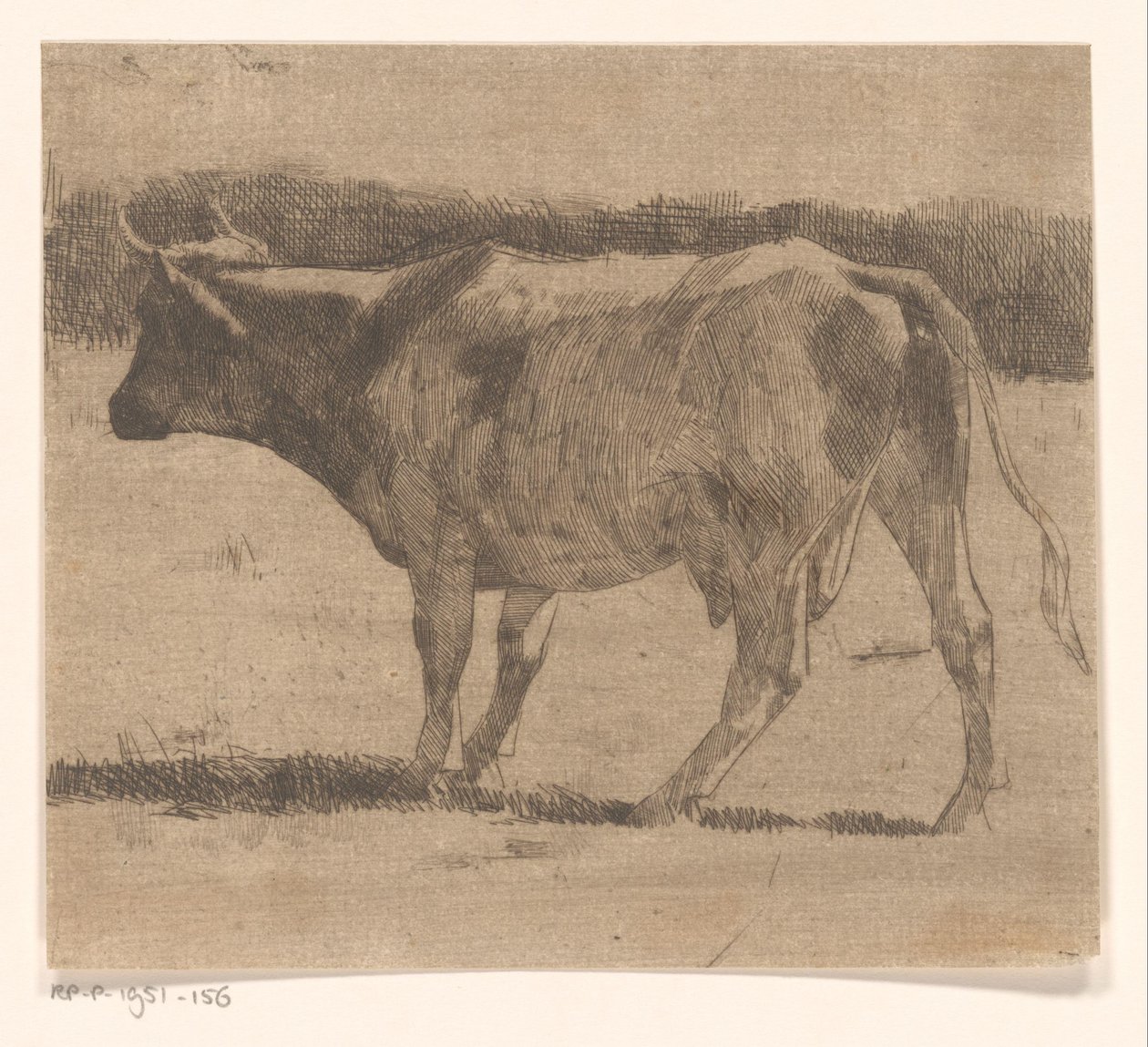 Vaca en un prado de Maurits van der Valk