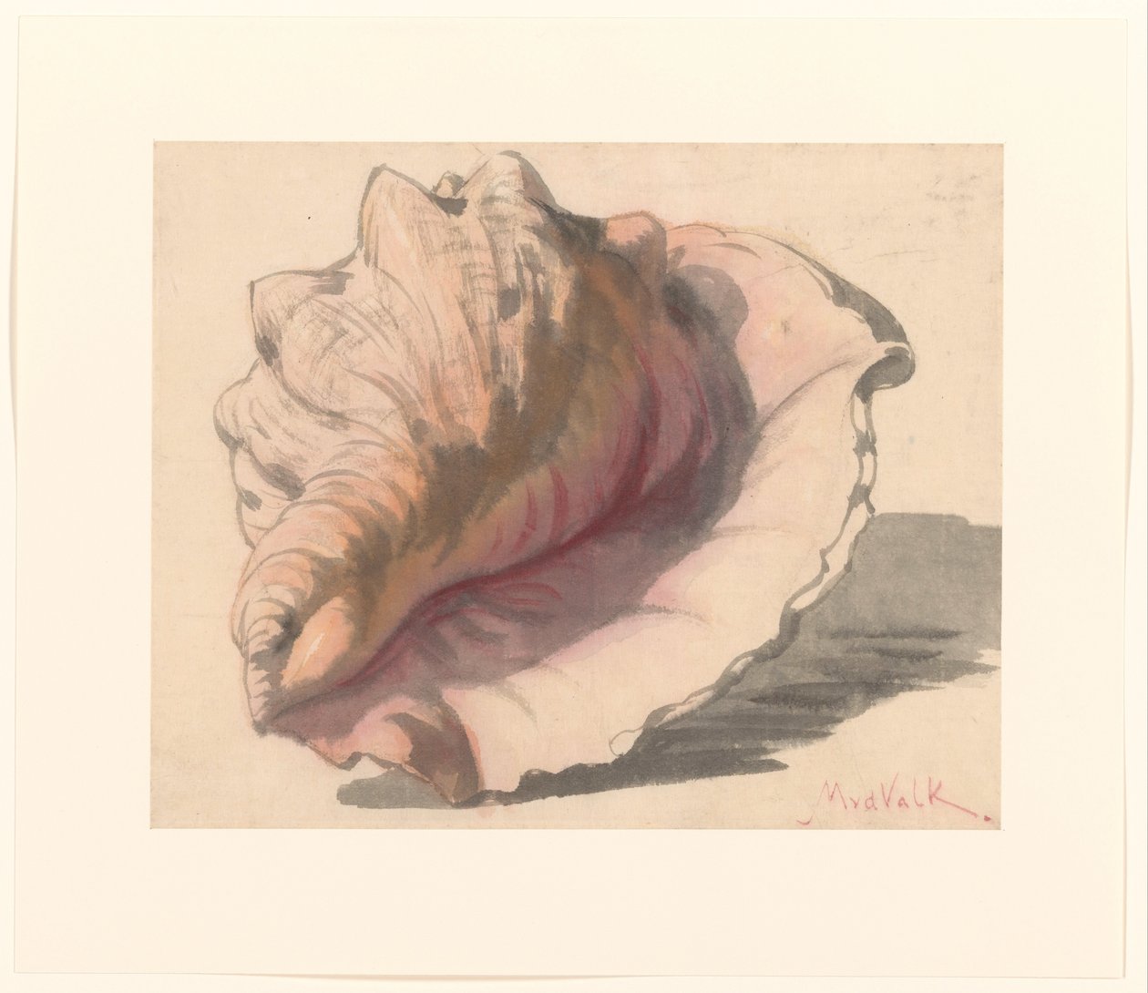 Schelp de Maurits van der Valk