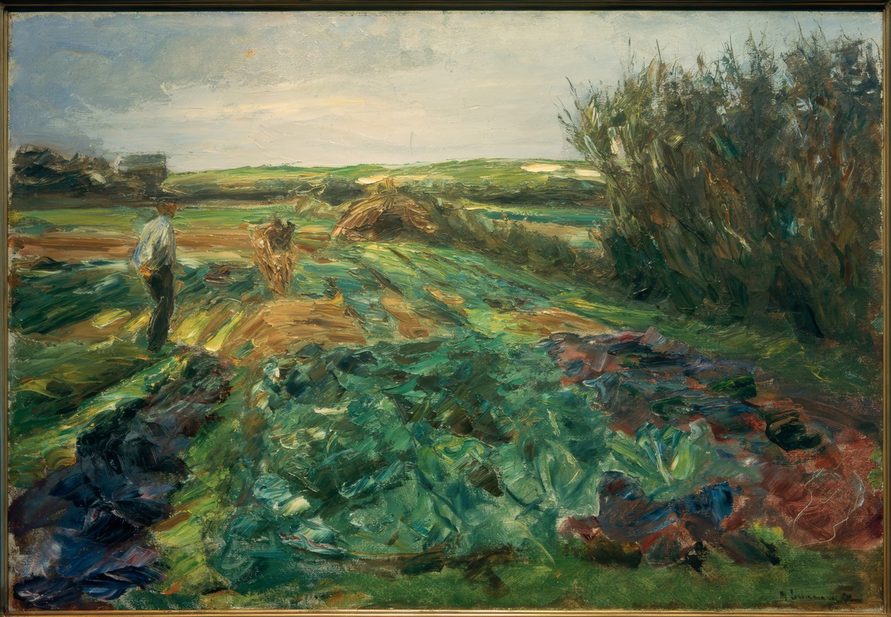 El campo de coles (Campo de coles en Noordwijk) de Max Liebermann