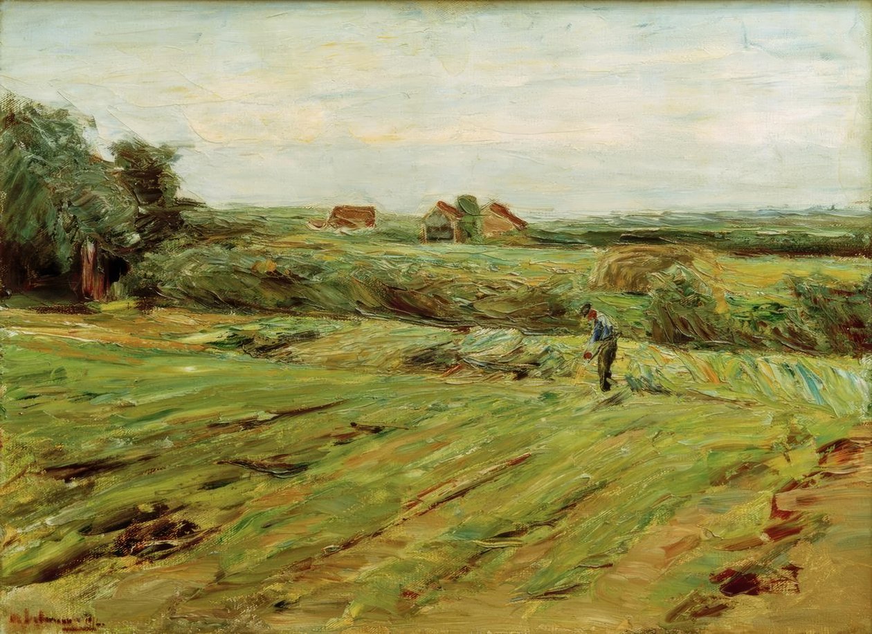 Campo de cosecha – Campo de coles (?) de Max Liebermann