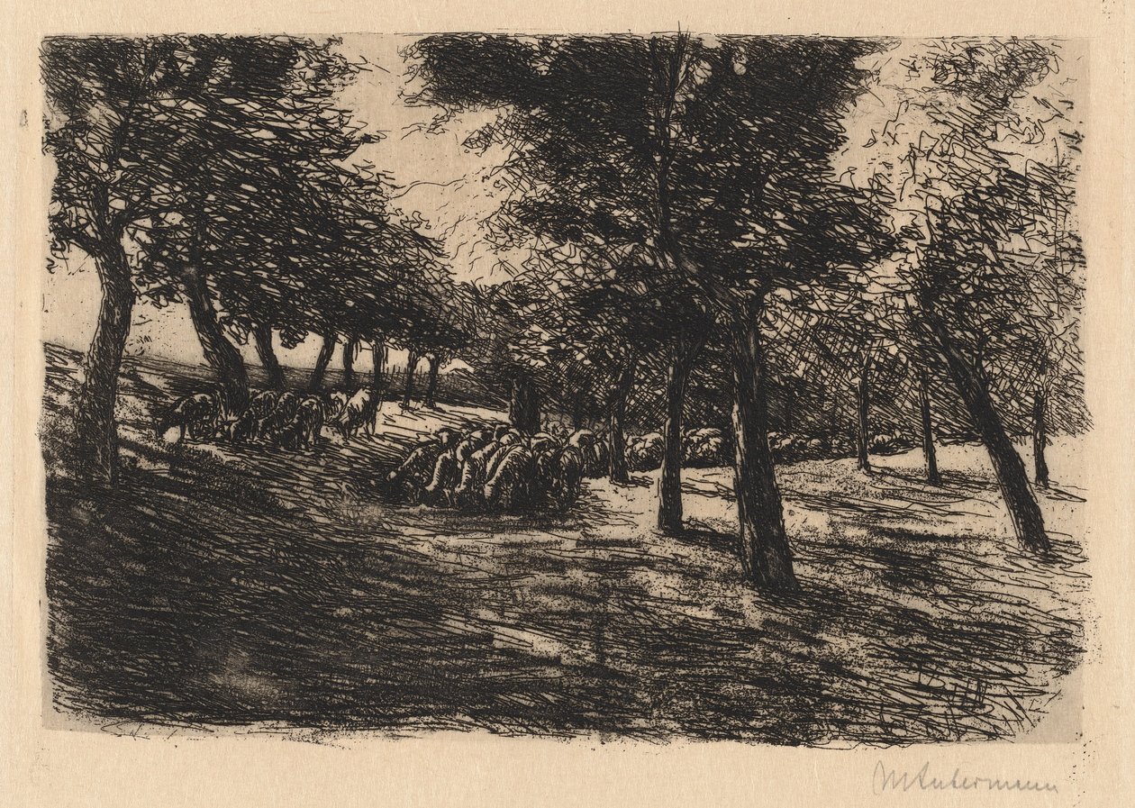 Rebaño de ovejas bajo los árboles de Max Liebermann