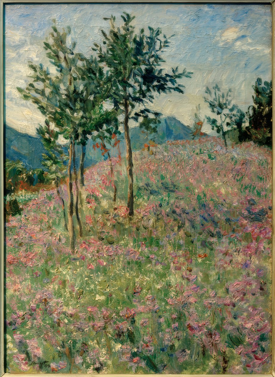 Paisaje montañoso con campo de facelias de Max Slevogt