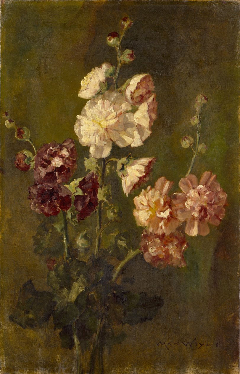 Malvarrosas de Max Weyl