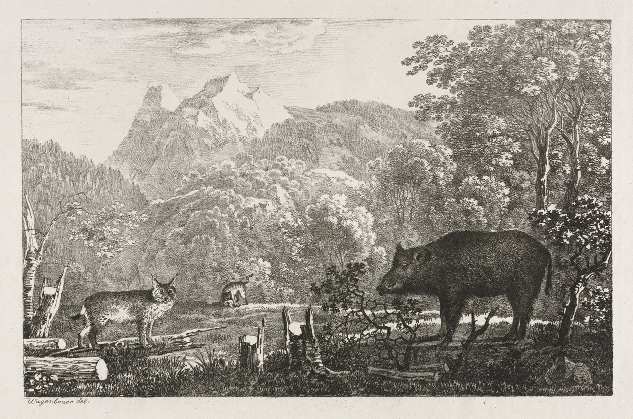 Wild Boar, Wildcat and Lynx de Maximilian Josef Wagenbauer