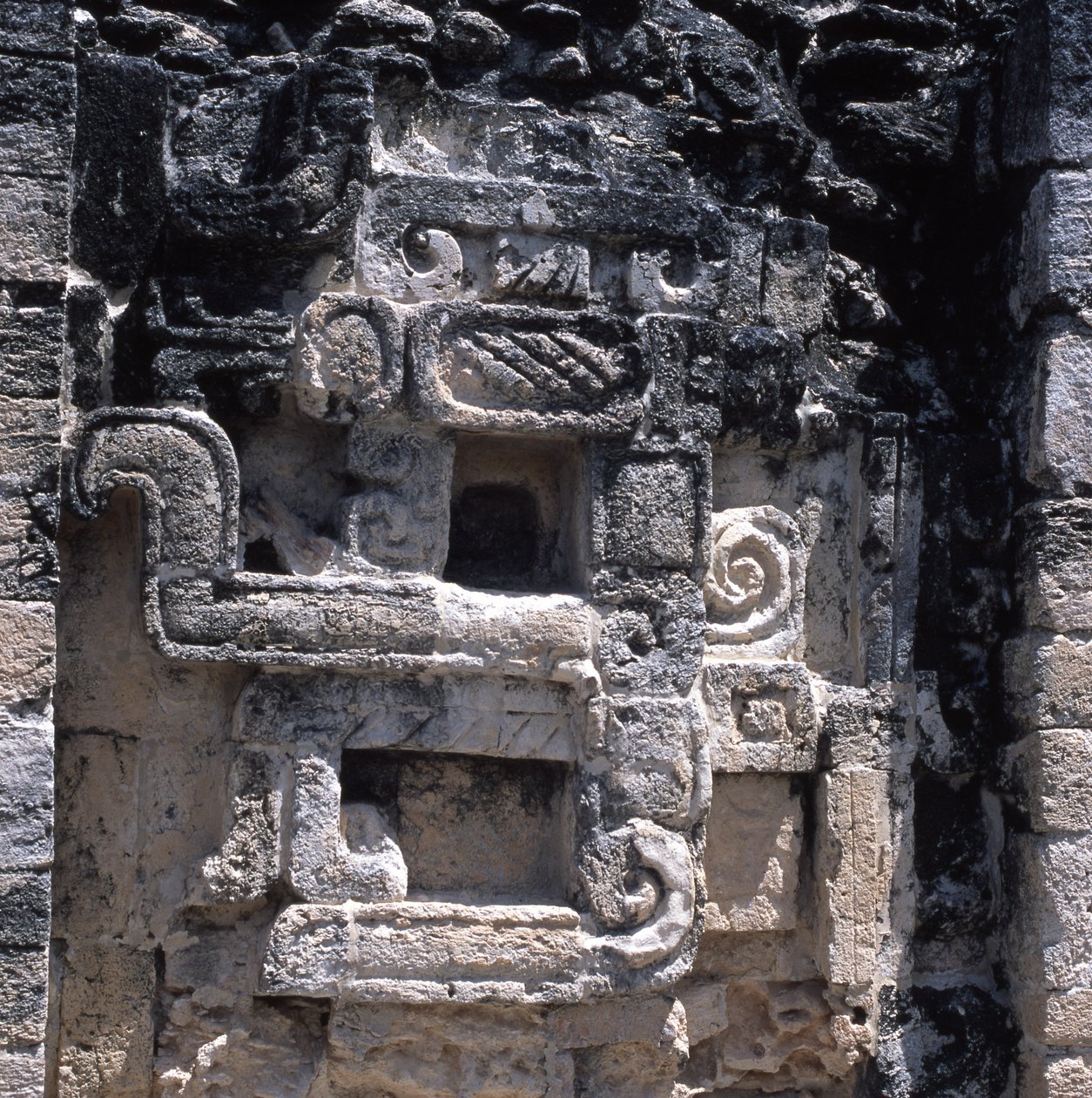 Relieve de un monstruo de la tierra, período Clásico Tardío, 600-900 d.C. de Mayan