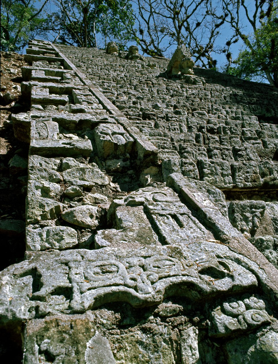 Vista de la Escalera Jeroglífica, 743 d.C. de Mayan