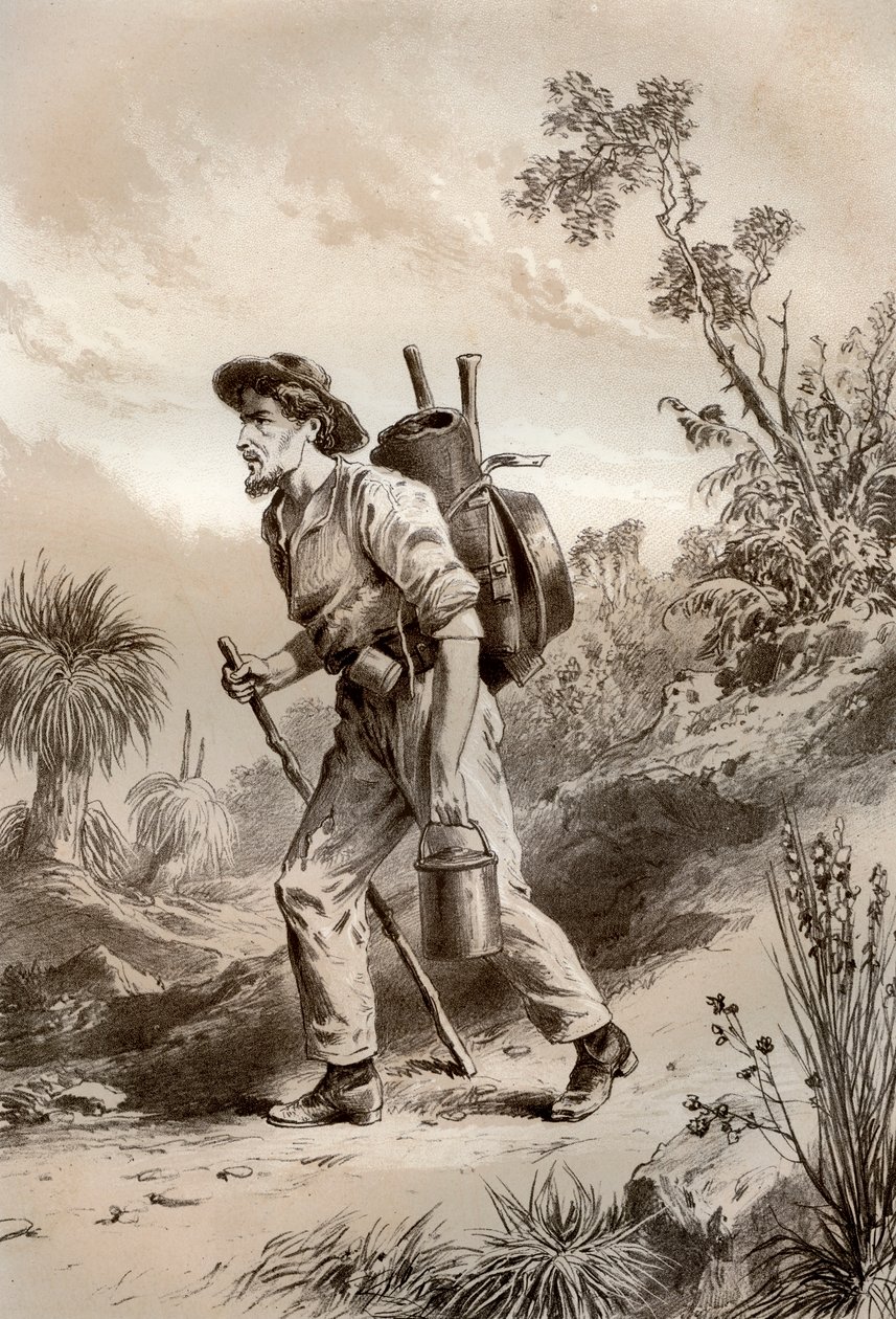 Excavador en el camino, Australia, 1879 de McFarlane and Erskine